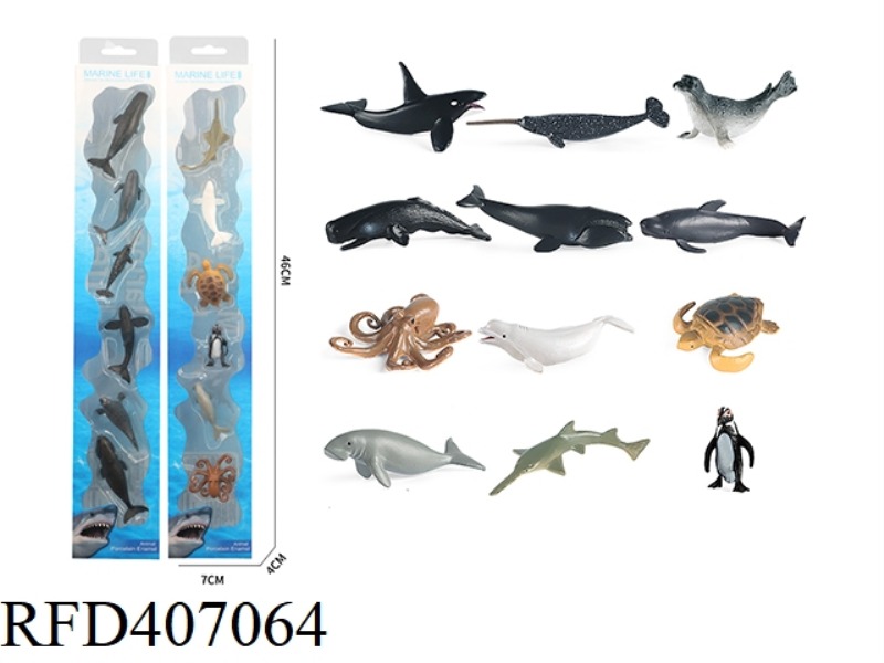 6 MINI OCEAN A/B
