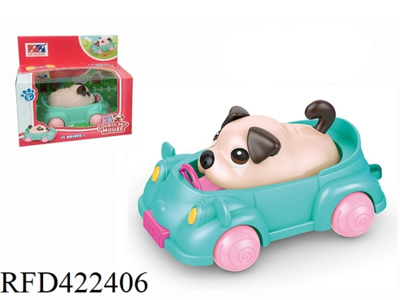 CAR+DOG