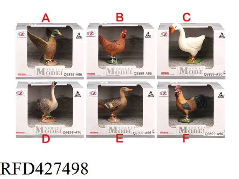FARM ANIMAL MODEL