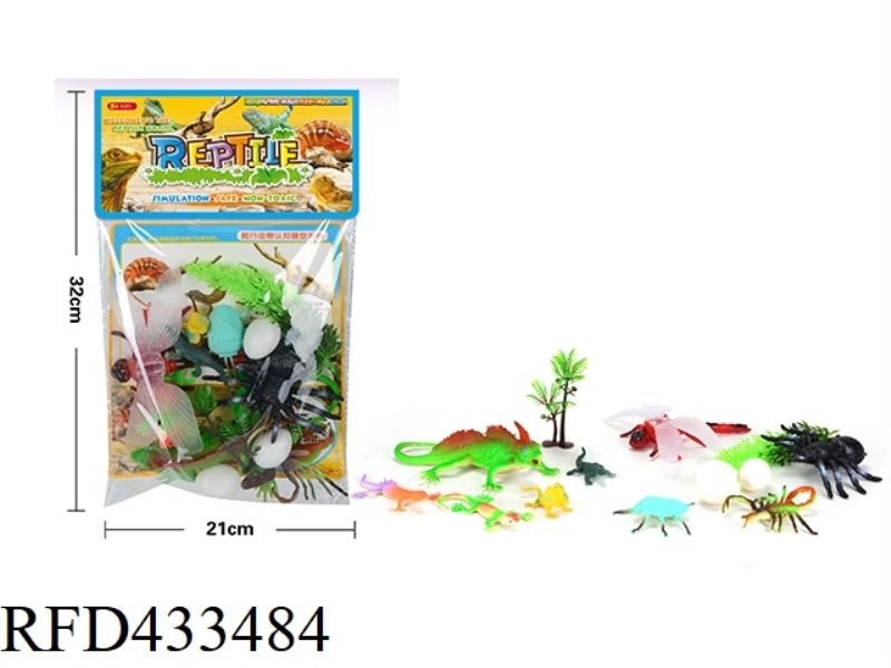 INSECT WORLD