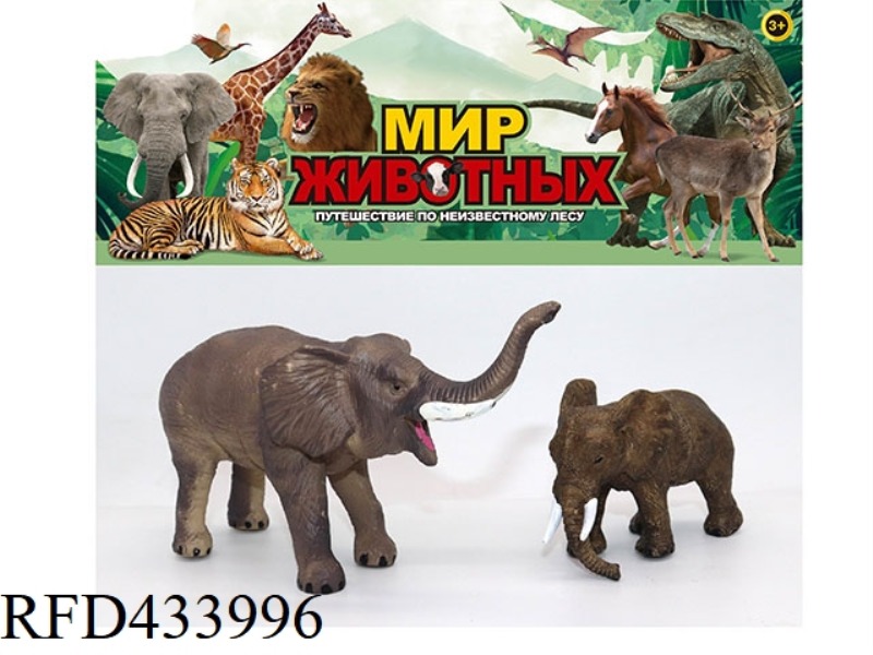 WILD ANIMAL