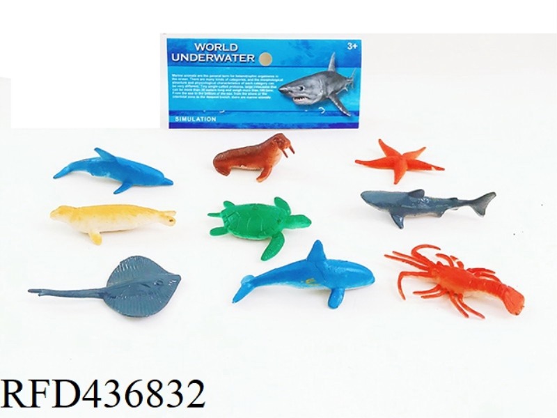 PVC OCEAN SUIT 10 PIECES
