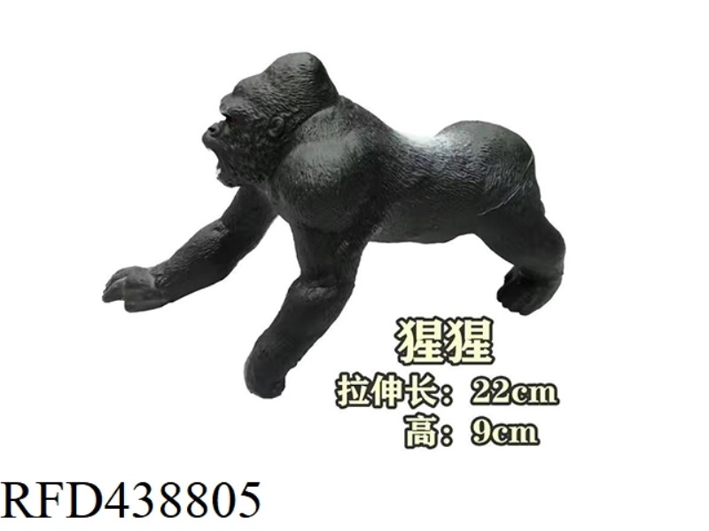 CHIMPANZEE
