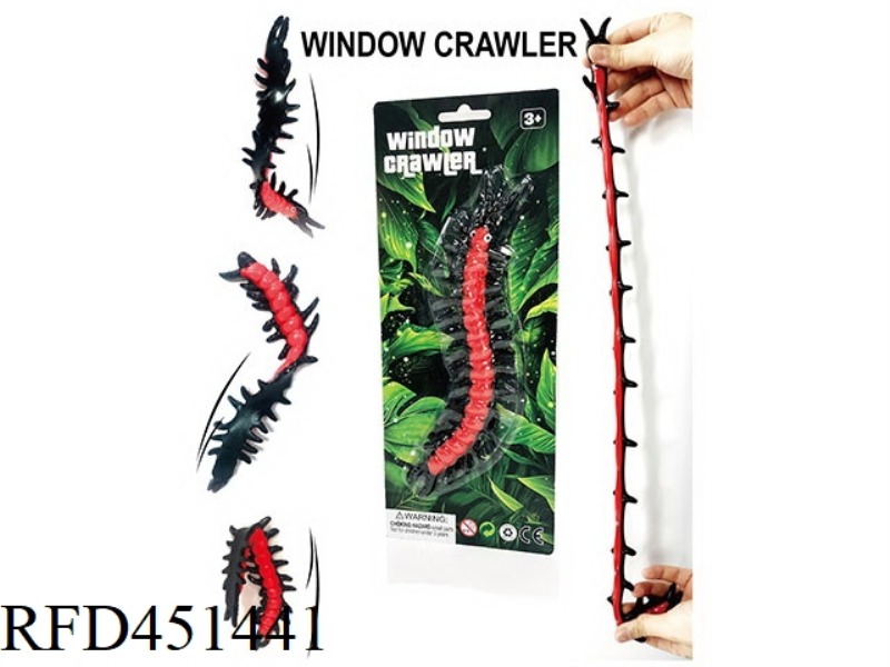 WALL-CLIMBING CENTIPEDE