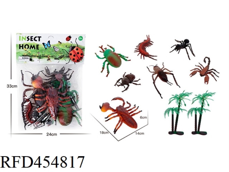 INSECT ANIMAL