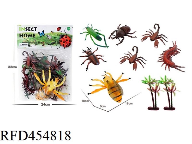 INSECT ANIMAL