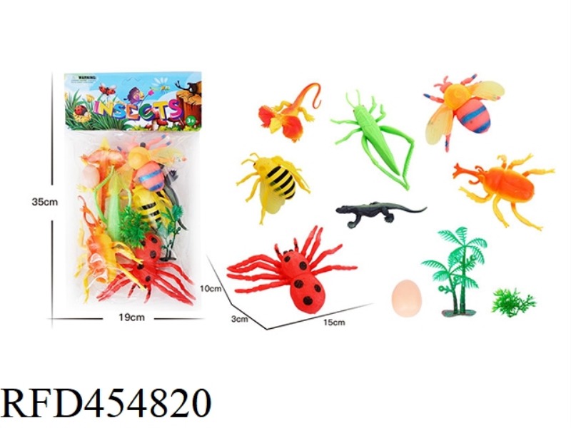 INSECT ANIMAL