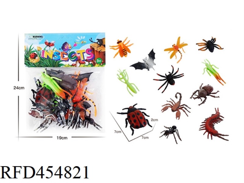 INSECT ANIMAL