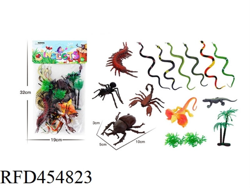 INSECT ANIMAL