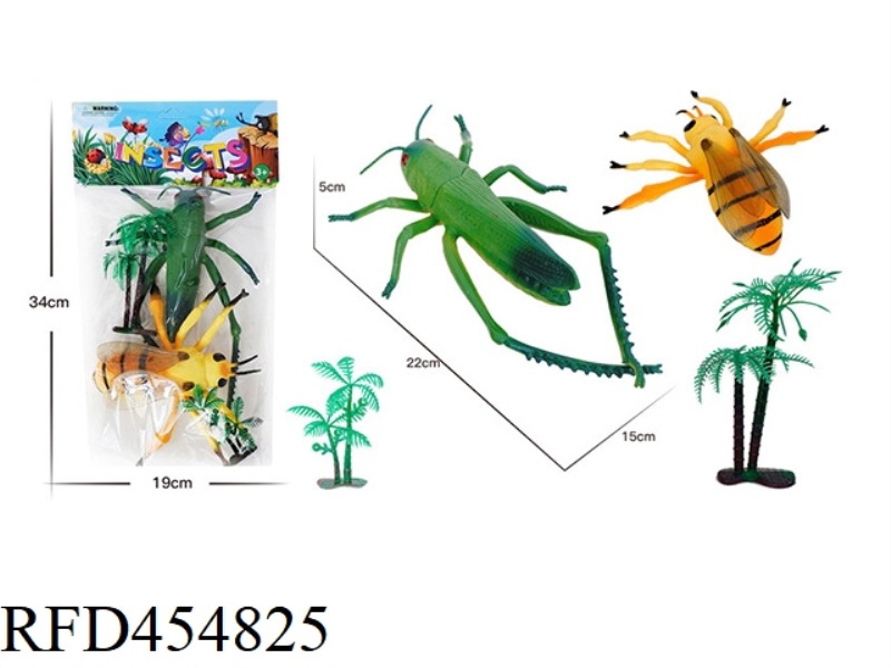 INSECT ANIMAL