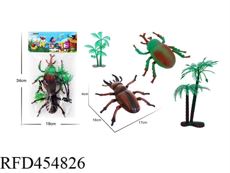 INSECT ANIMAL