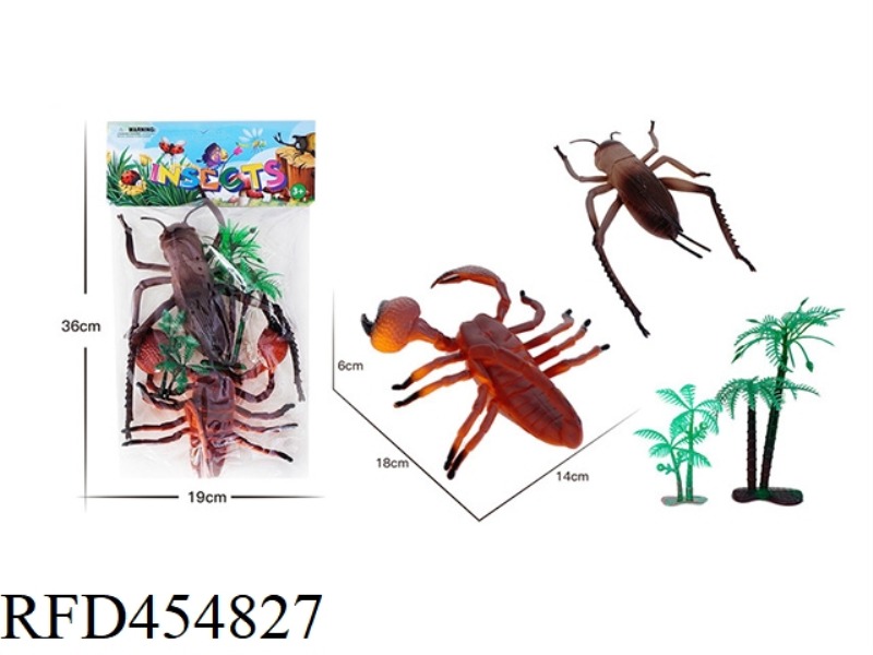 INSECT ANIMAL