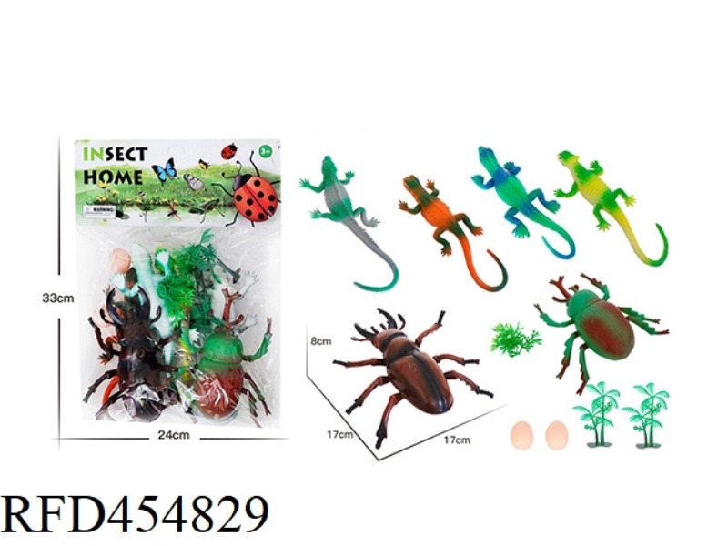 INSECT ANIMAL