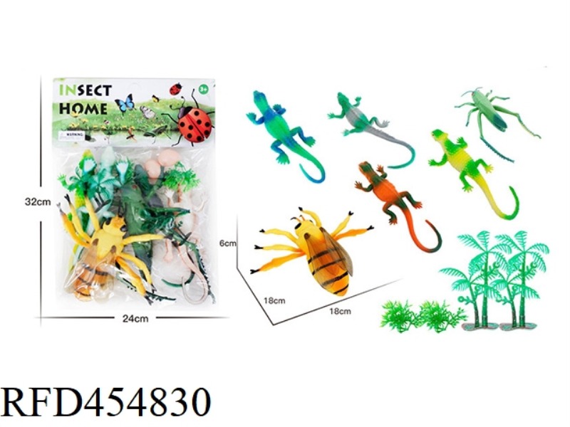 INSECT ANIMAL