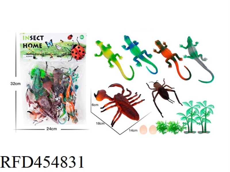 INSECT ANIMAL