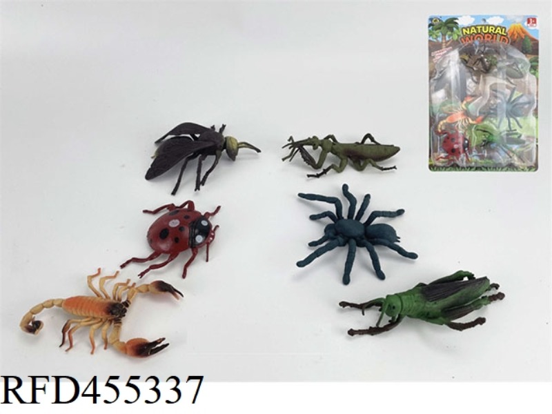 INSECT SINGLE