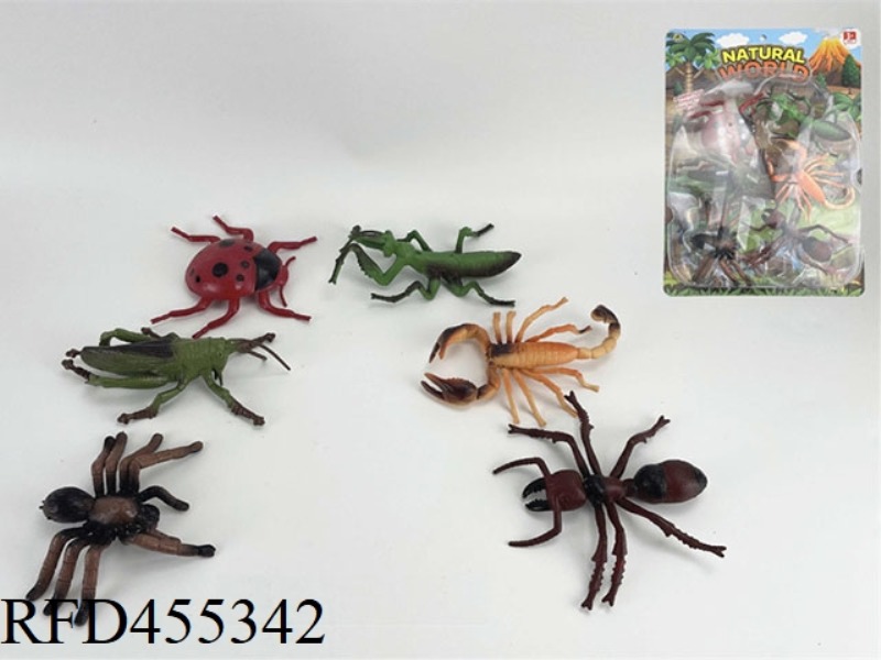 INSECT SINGLE
