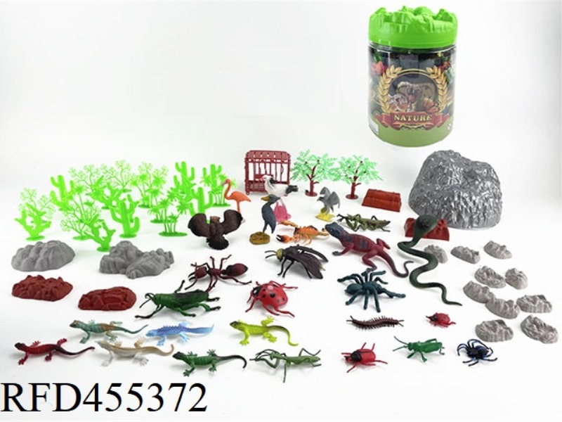 INSECT SINGLE