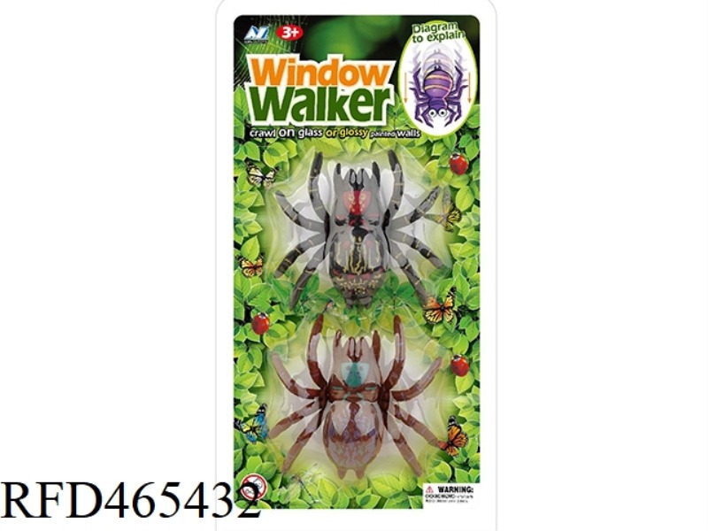 2 ZHUANG WALL CLIMBING SPIDERS