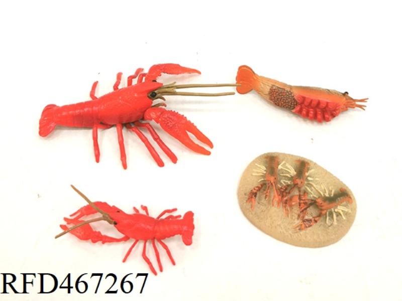 SHRIMP GROWTH CYCLE 2