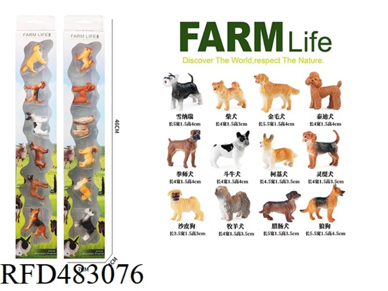 12 MINIATURE PUPPIES