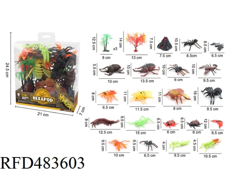 INSECT SERIES