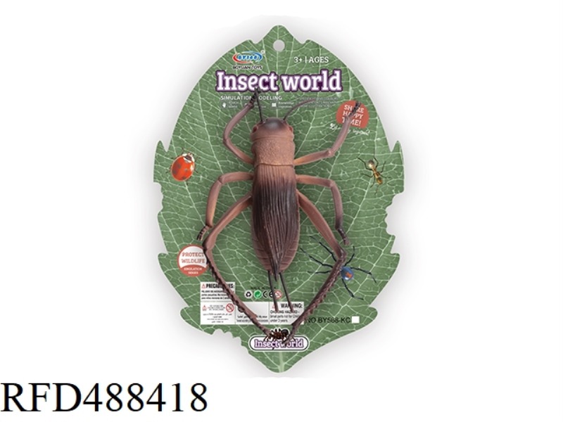 10-INCH INSECT (CRICKET)