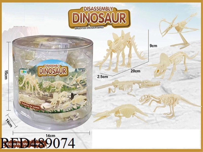 DISASSEMBLY SKELETON DINOSAUR 6 MIXED