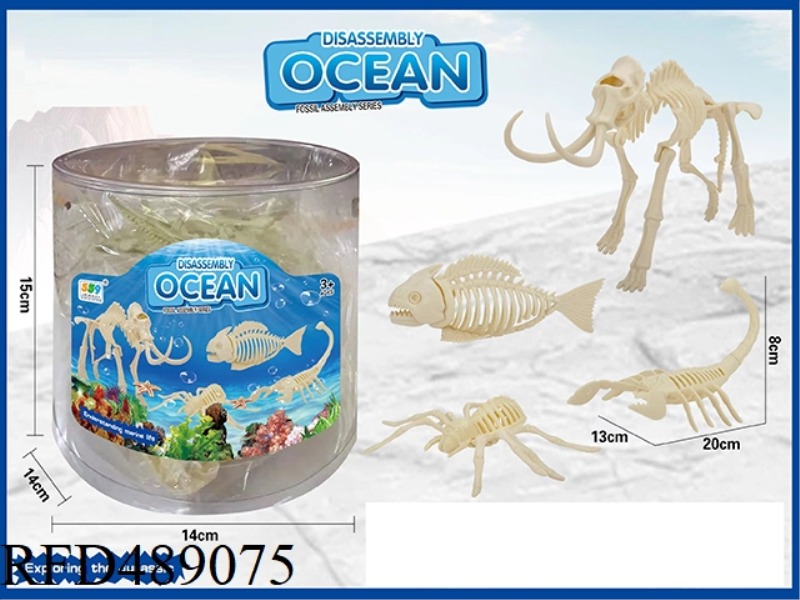 DISASSEMBLY SKELETON SEABED 6 MIXED