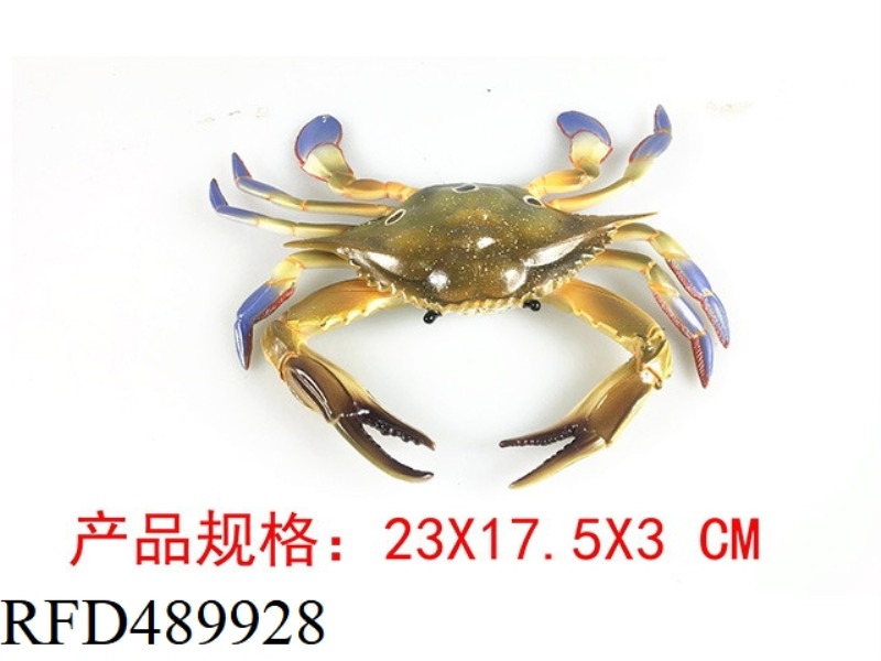 THREE O 'CLOCK SWIMMING CRAB