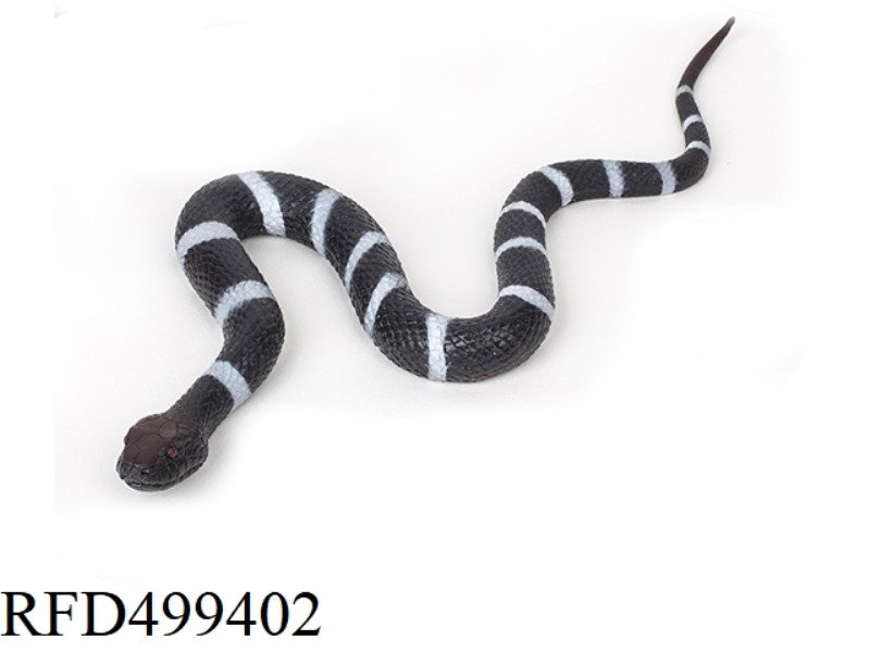 SILVER RINGED SNAKE