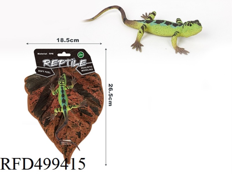 THE DRAGON LIZARD WITH RED STRIPES