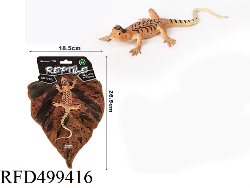 THE SKINK LIZARD