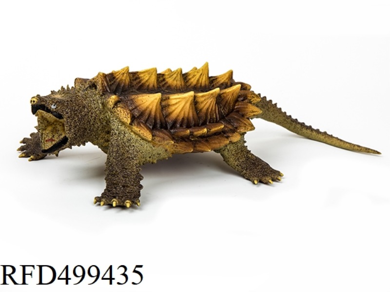 BIG ALLIGATOR TURTLE 600G