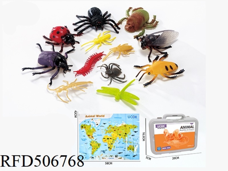 A 13-PIECE INSECT MODEL CLUTCH BOX