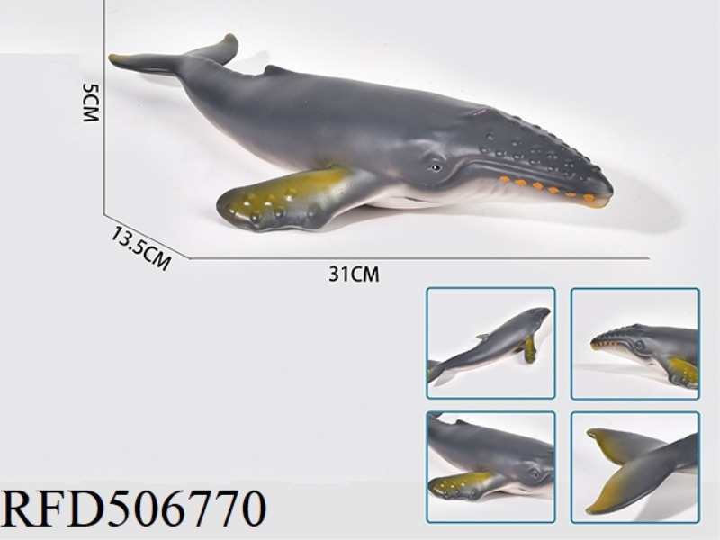 HONEY-PADDED HUMPBACK WHALE