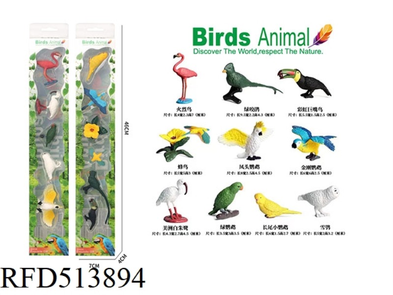 10 MINI BIRDS A/B