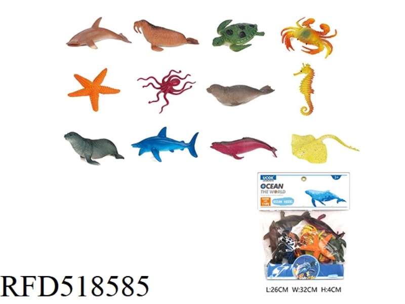 12 5 