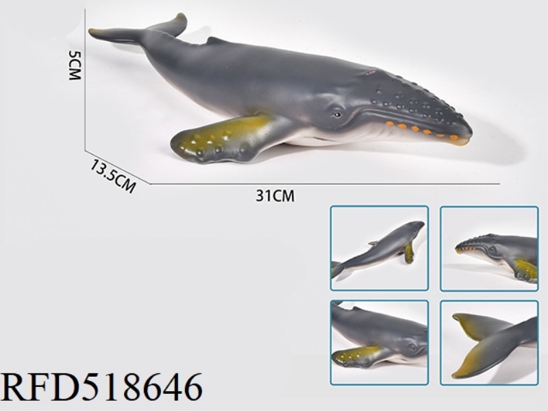HONEY-PADDED HUMPBACK WHALE
