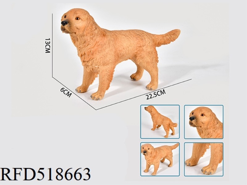GOLDEN RETRIEVER WITH ENAMELLED COTTON