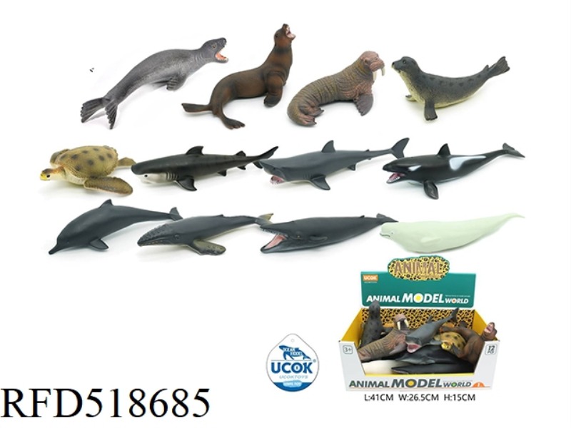 TWELVE 30CM ENAMELLED COTTON FILLED MARINE ANIMAL DISPLAY BOXES