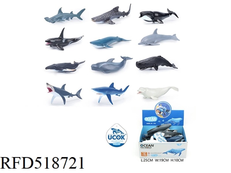 12 8 
