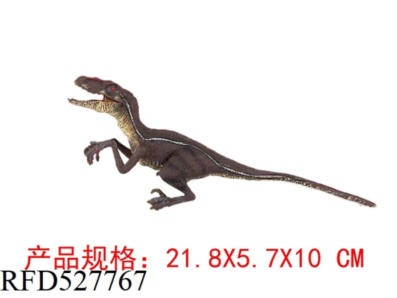BRUXUN RAPTOR