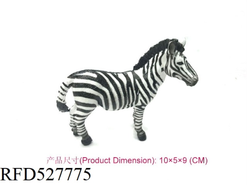 MALE ZEBRA