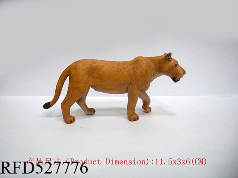AFRICAN LIONESS