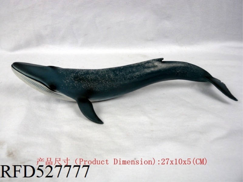 BLUE WHALE