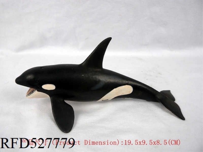 KILLER WHALE