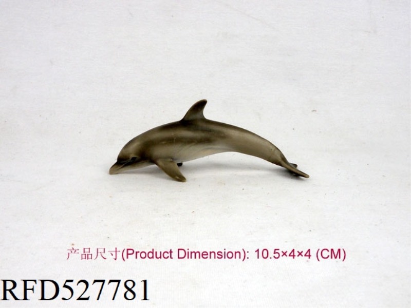 LITTLE DOLPHIN