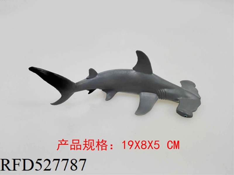 HAMMERHEAD SHARK