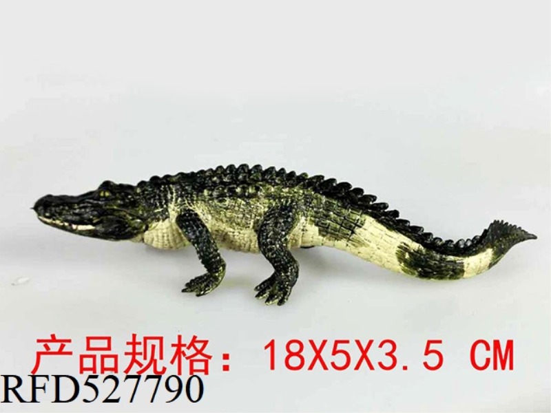 CHINESE ALLIGATOR